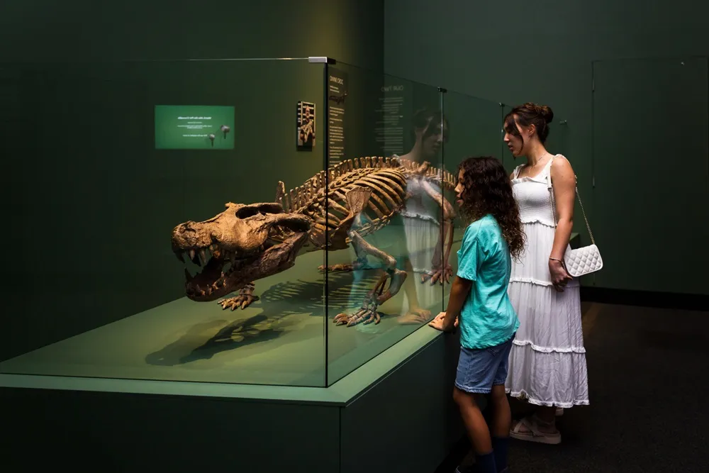 Brisbane Crocodile Exhibition - 90 Minutes | Experience Oz-7