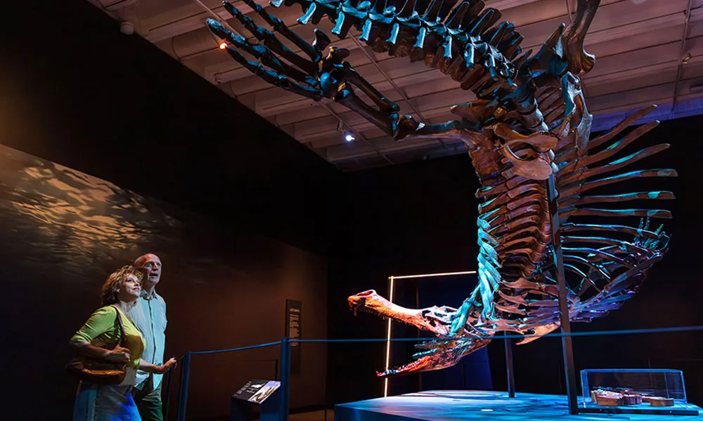 Brisbane Crocodile Exhibition - 90 Minutes | Experience Oz-2
