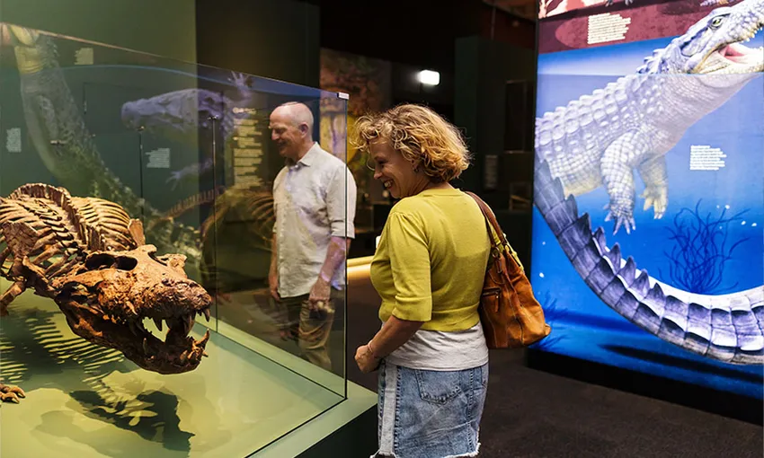 Brisbane Crocodile Exhibition - 90 Minutes | Experience Oz