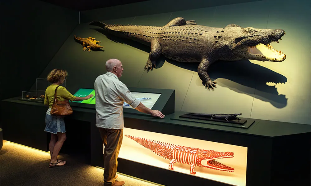 Brisbane Crocodile Exhibition - 90 Minutes | Experience Oz-4