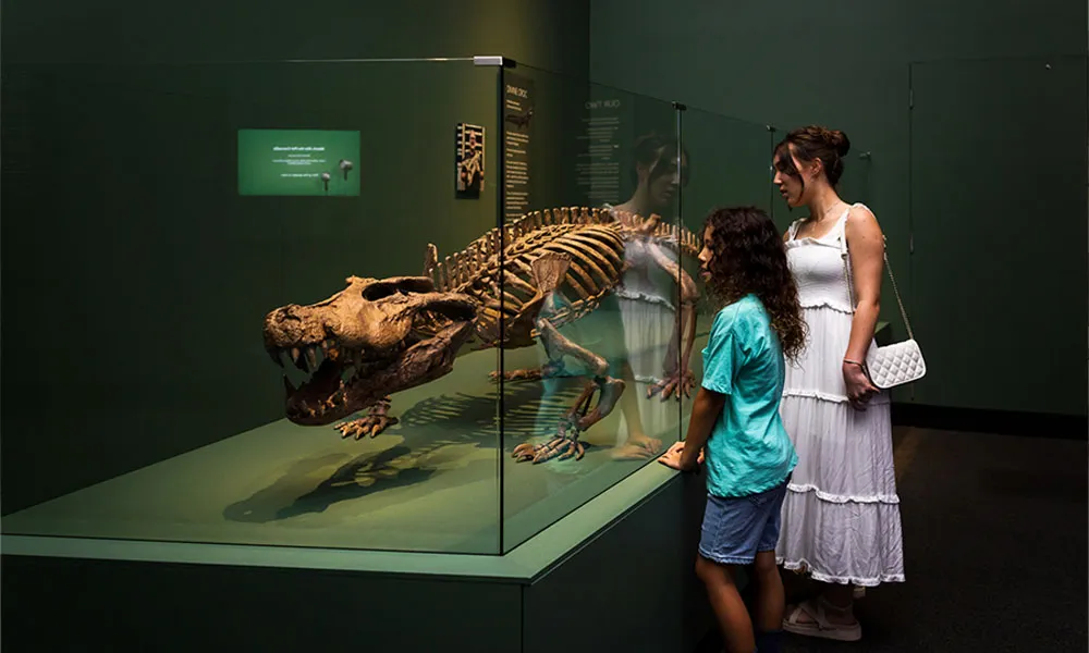Brisbane Crocodile Exhibition - 90 Minutes | Experience Oz-7