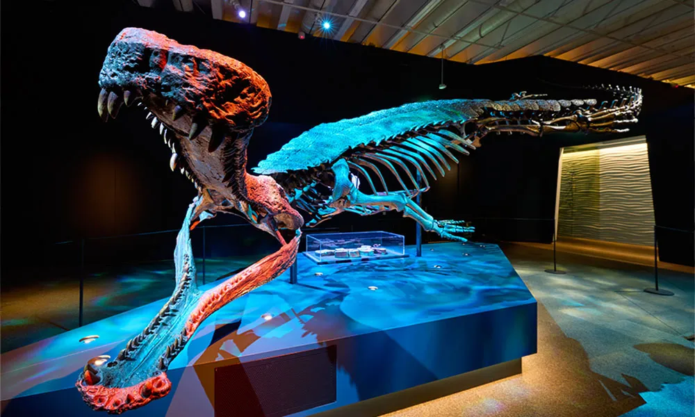 Brisbane Crocodile Exhibition - 90 Minutes | Experience Oz-9