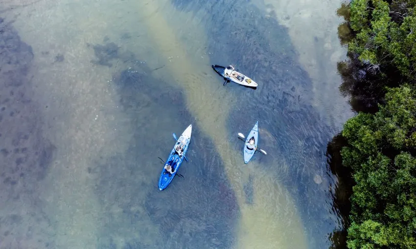 Everglades and Stingrays Guided Kayak Tour, 3 Hours - Noosa