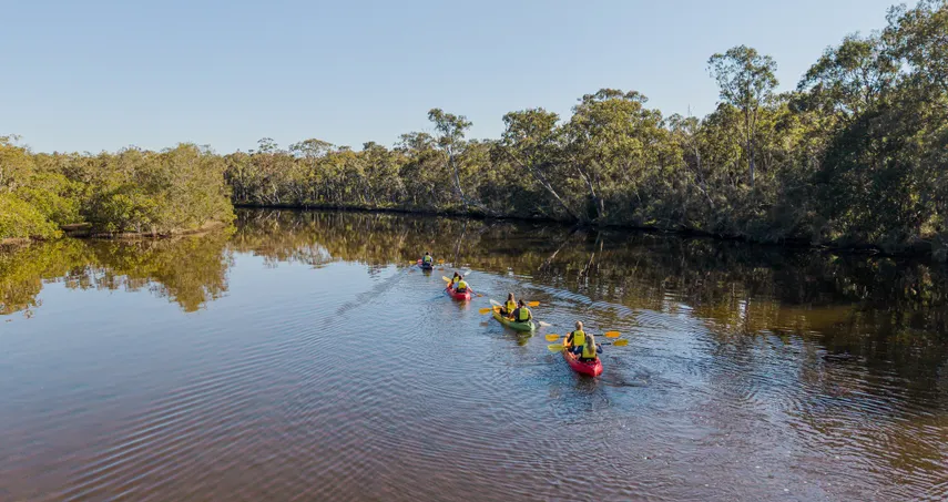 Everglades and Stingrays Guided Kayak Tour, 3 Hours - Noosa