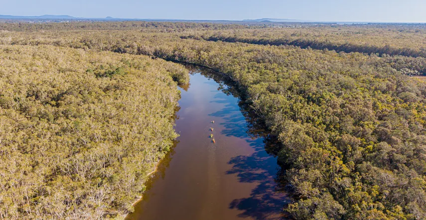 Everglades and Stingrays Guided Kayak Tour, 3 Hours - Noosa