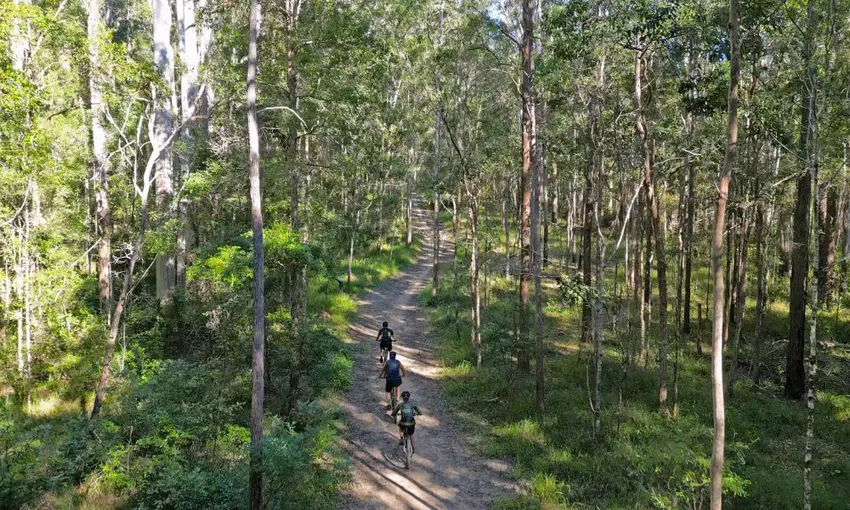 Noosa Biosphere Trail Network E-Bike Adventure | Experience Oz
