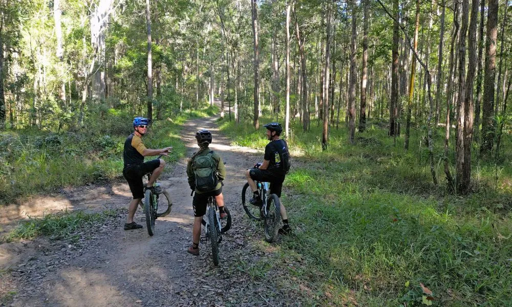 Noosa Biosphere Trail Network E-Bike Adventure | Experience Oz-3