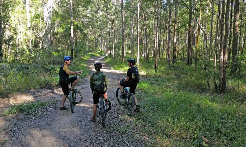 Guided Biosphere E-Mountain Bike Tour, 5 Hours - Noosa