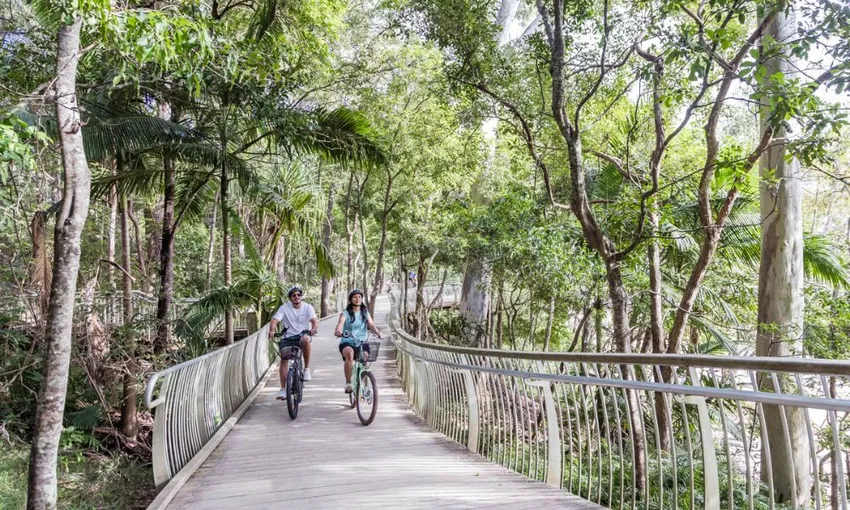 Mt Tinbeerwah to Noosa E-Bike Adventure - 3 Hours | Experience Oz