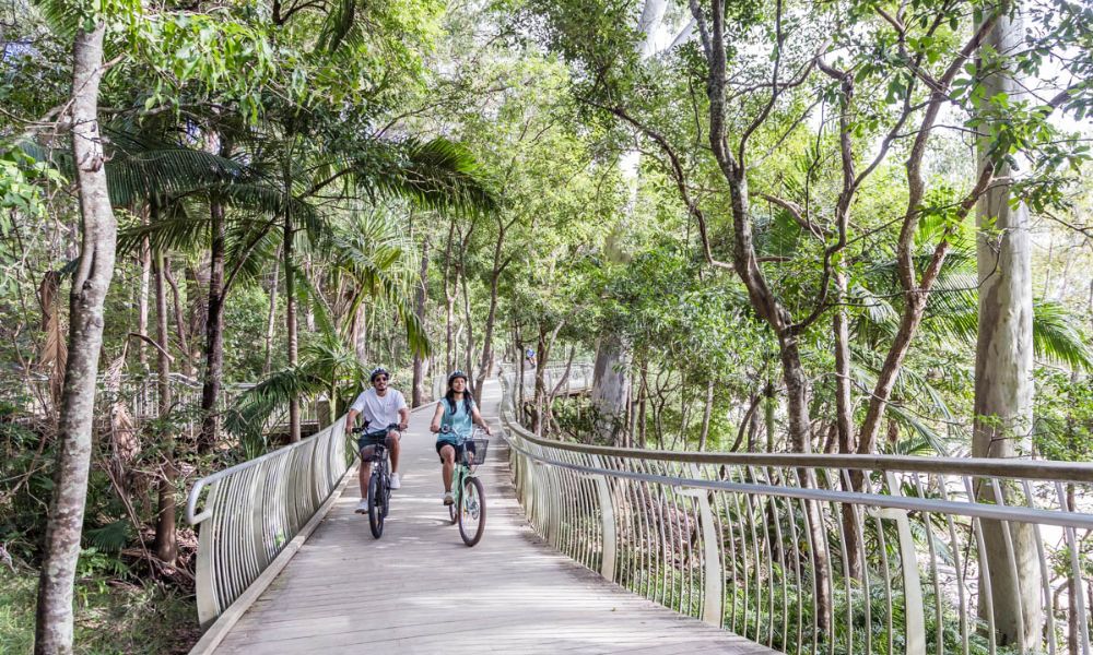 Mt Tinbeerwah Guided E-Bike Tour, 3 Hours - Noosa