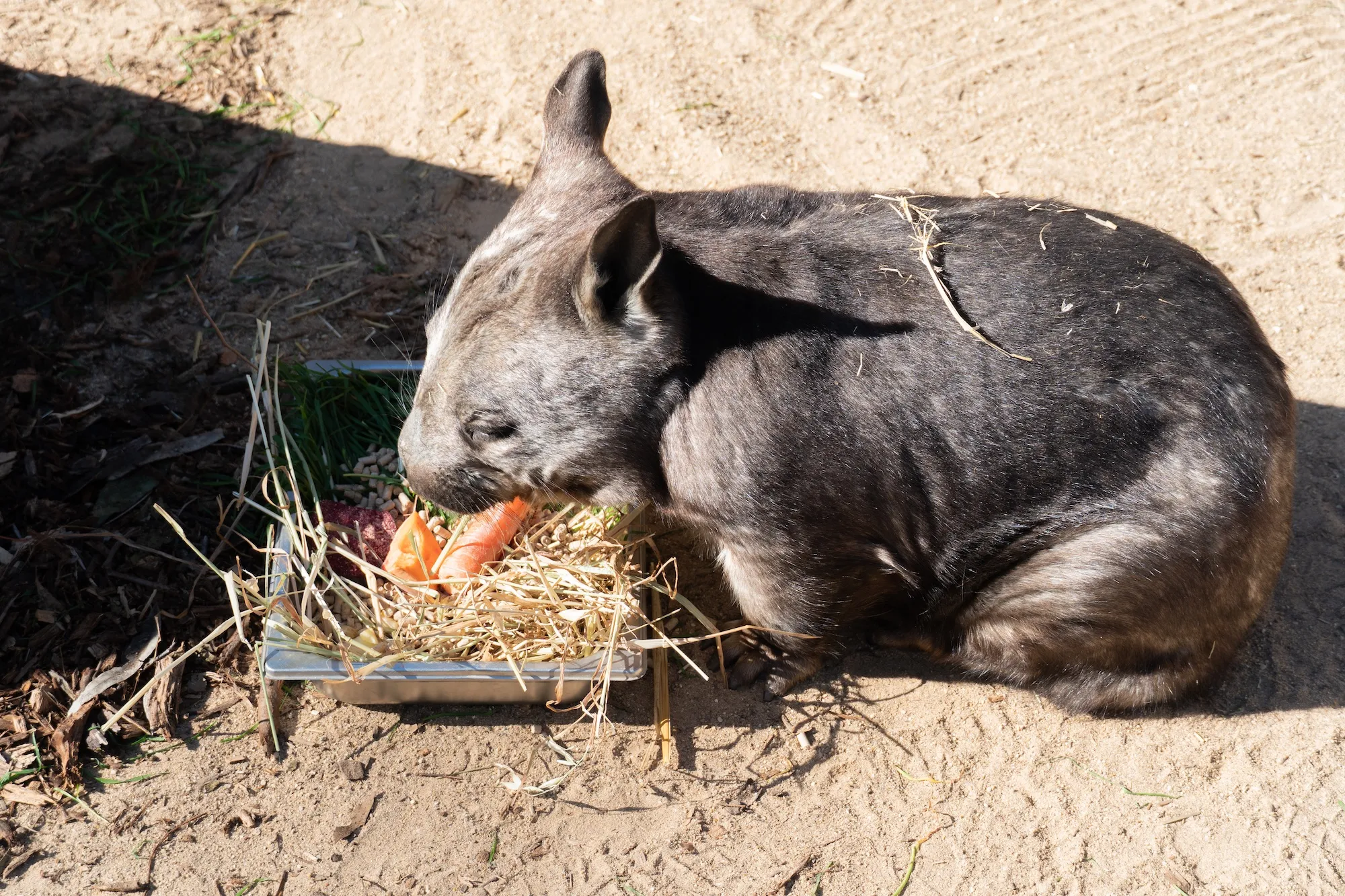 Murray River Boat & Wildlife Experience - Full Day | ExperienceOz-2