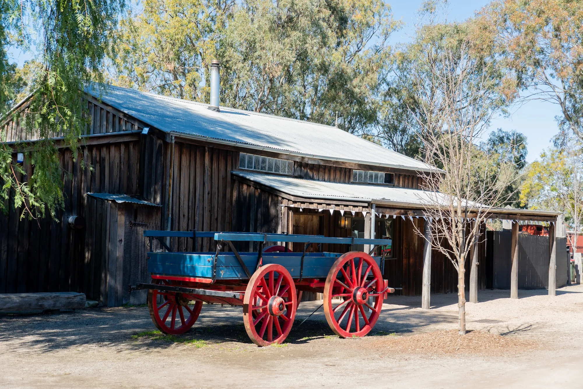 Murray River Boat & Wildlife Experience - Full Day | ExperienceOz-5
