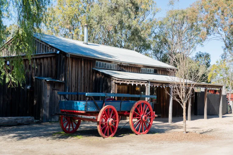 Murray River Boat & Wildlife Experience - Full Day | ExperienceOz