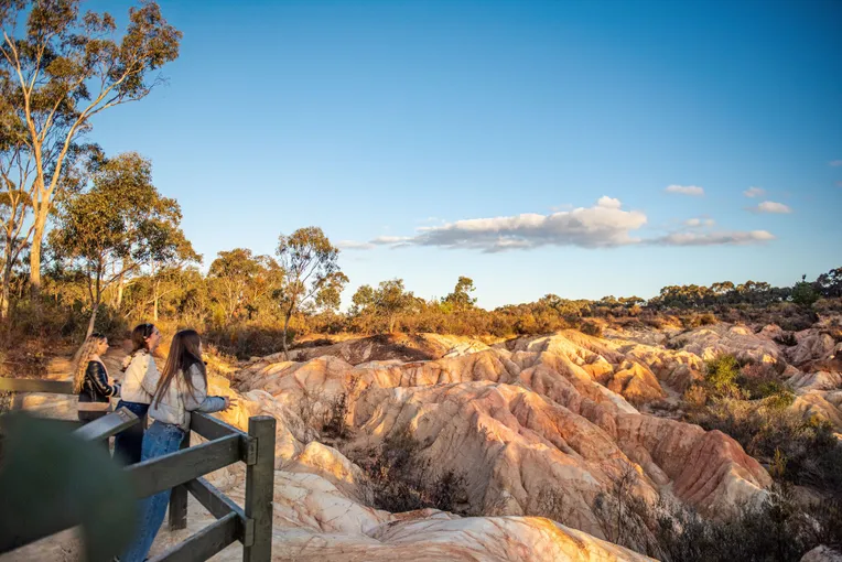 Murray River Boat & Wildlife Experience - Full Day | ExperienceOz