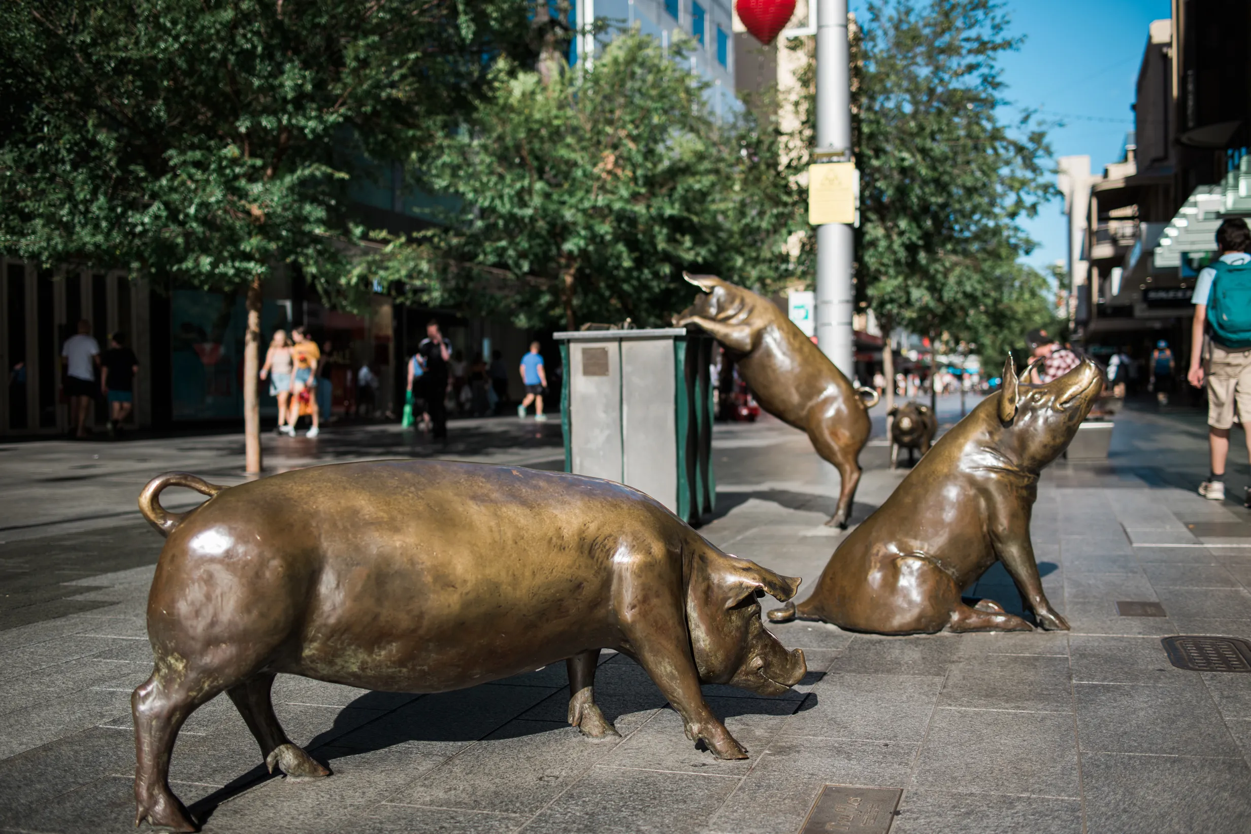 Welcome to Adelaide - City Highlights Tour | Experience Oz-4