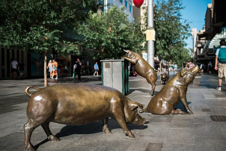 Welcome to Adelaide - City Highlights Tour | Experience Oz