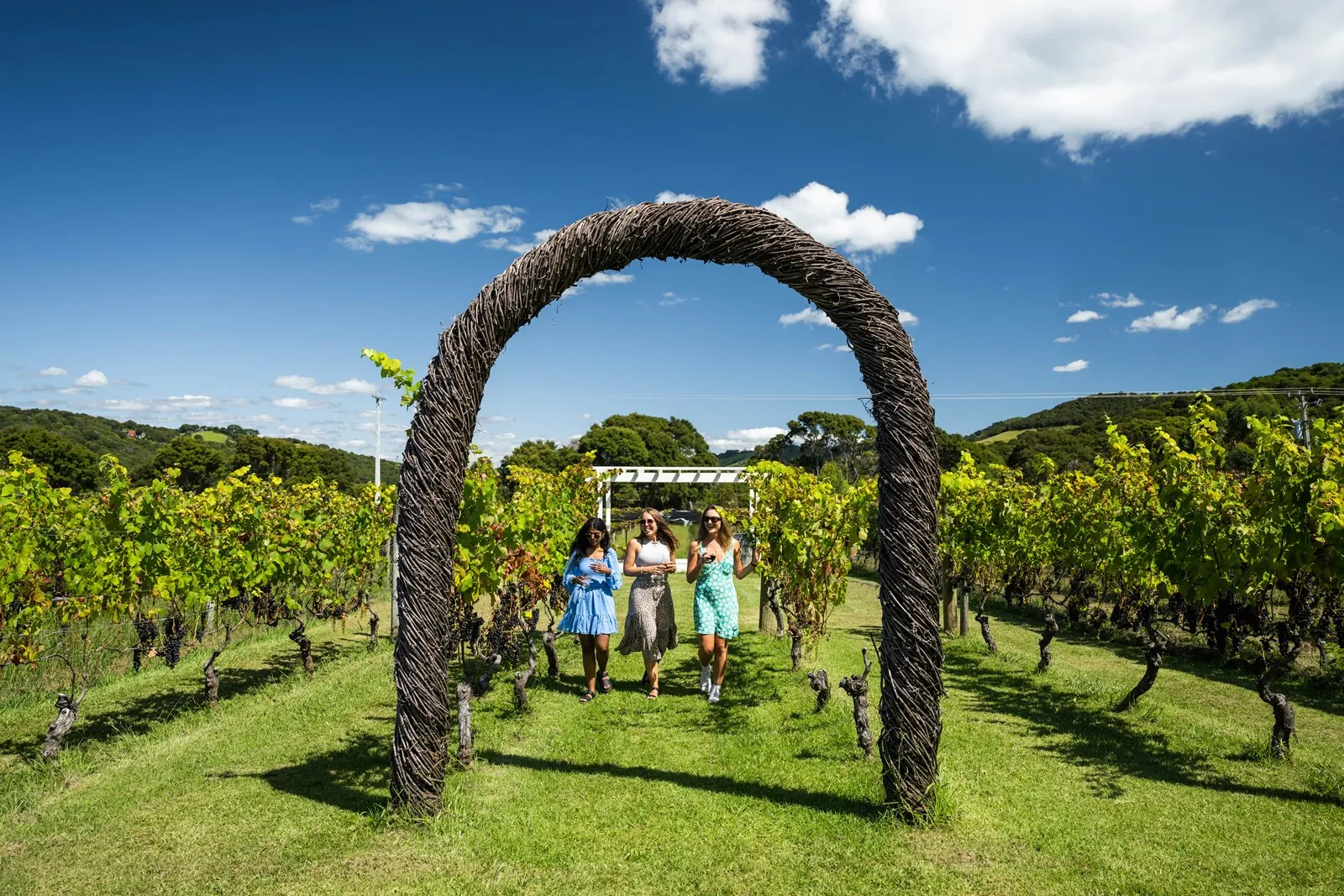 Waiheke Eastern Explorer Bus Tour | Experience Oz + NZ-4