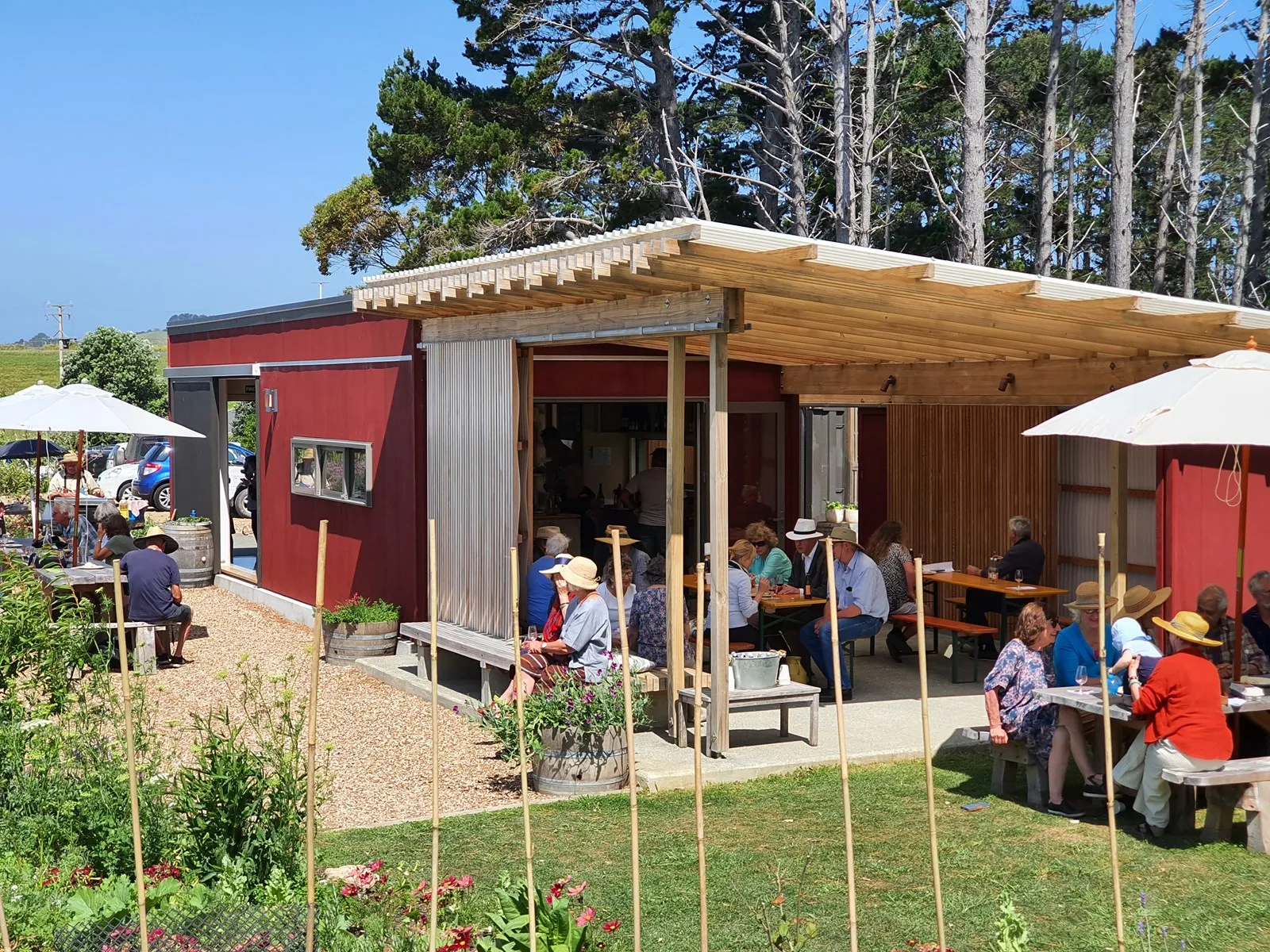 Waiheke Eastern Explorer Bus Tour | Experience Oz + NZ-10