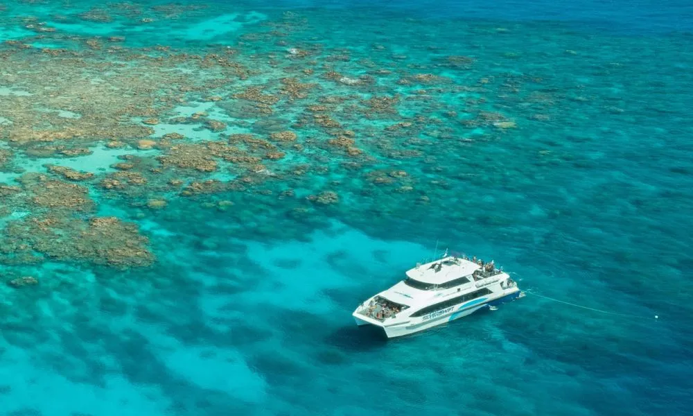 Cairns Outer Barrier Reef Luxury Dive & Snorkel Cruise | Experience Oz-1