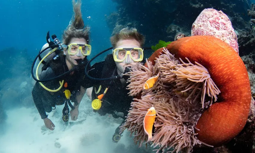 Cairns Outer Barrier Reef Luxury Dive & Snorkel Cruise | Experience Oz