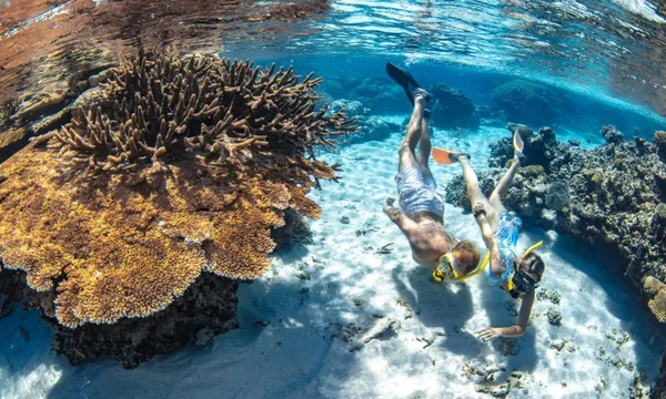 Premium Great Barrier Reef Cruise to 3 Reef Locations