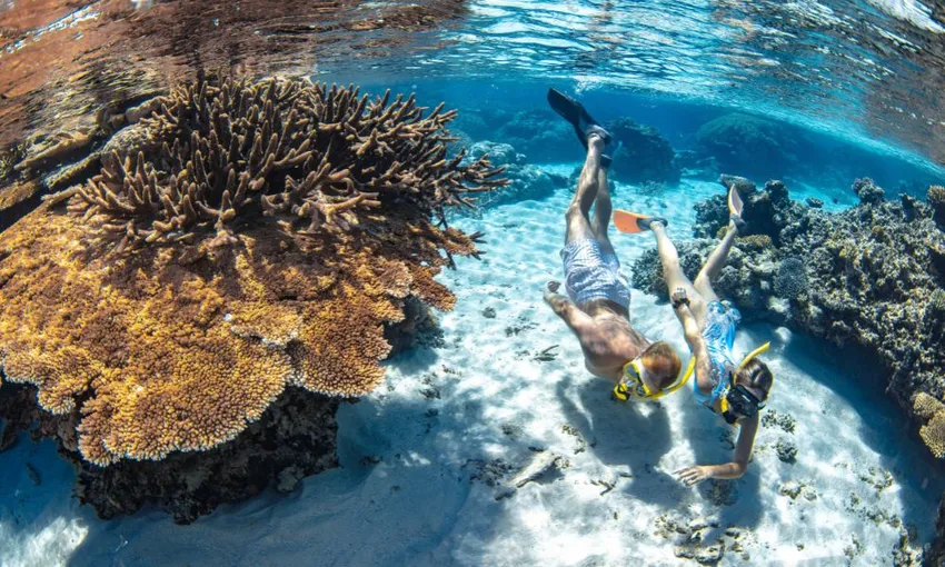 Cairns Outer Barrier Reef Luxury Dive & Snorkel Cruise | Experience Oz