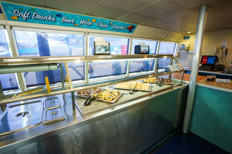 Cairns Outer Barrier Reef Luxury Dive & Snorkel Cruise | Experience Oz