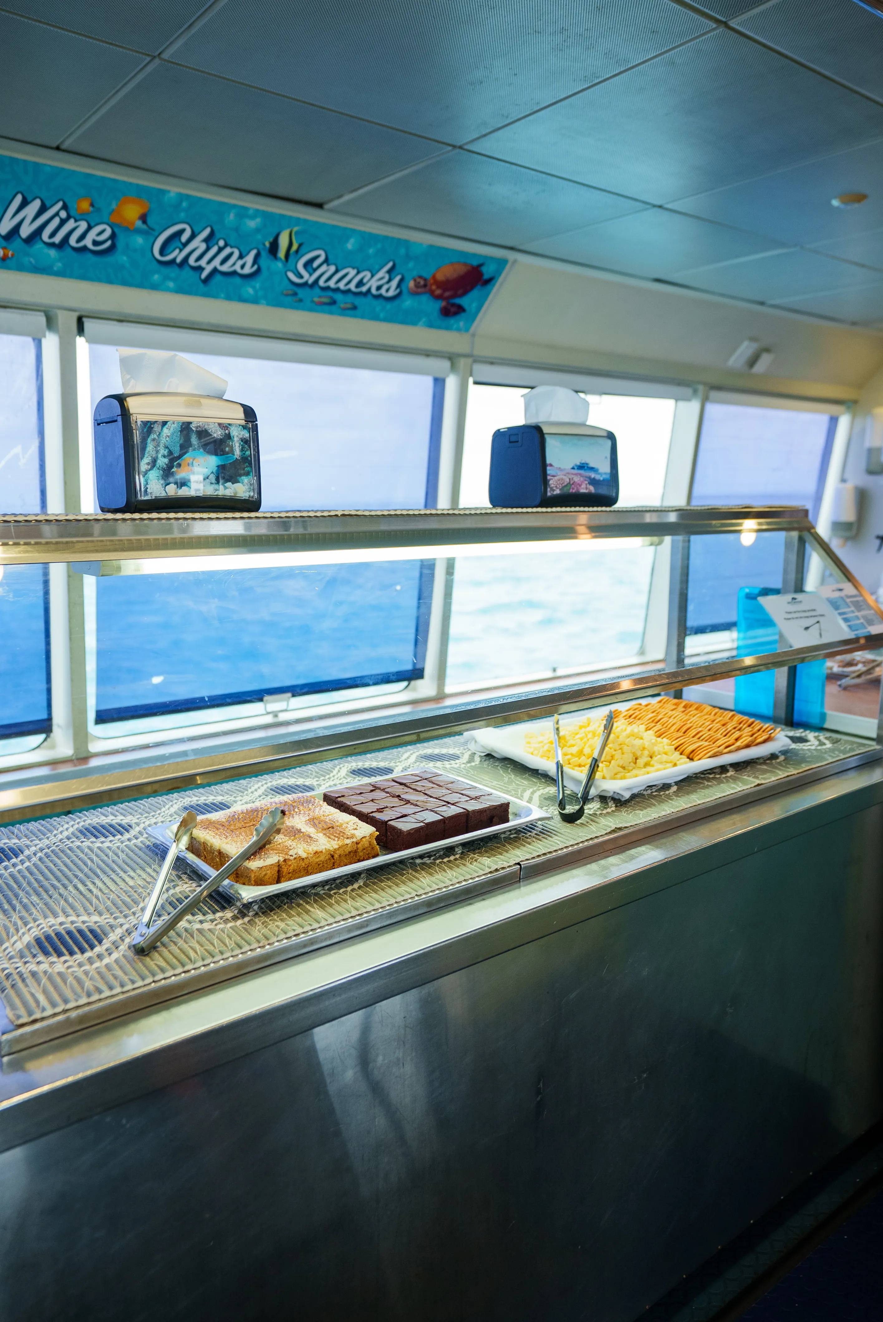 Cairns Outer Barrier Reef Luxury Dive & Snorkel Cruise | Experience Oz-17