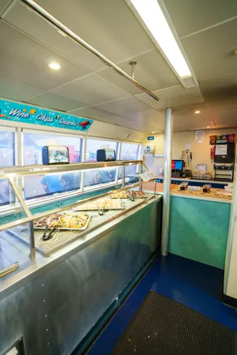 Cairns Outer Barrier Reef Luxury Dive & Snorkel Cruise | Experience Oz