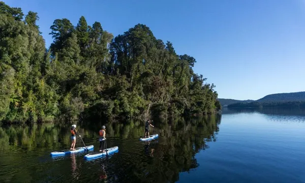 Lake Mapourika Guided Paddleboarding Adventure - 2 Hours
