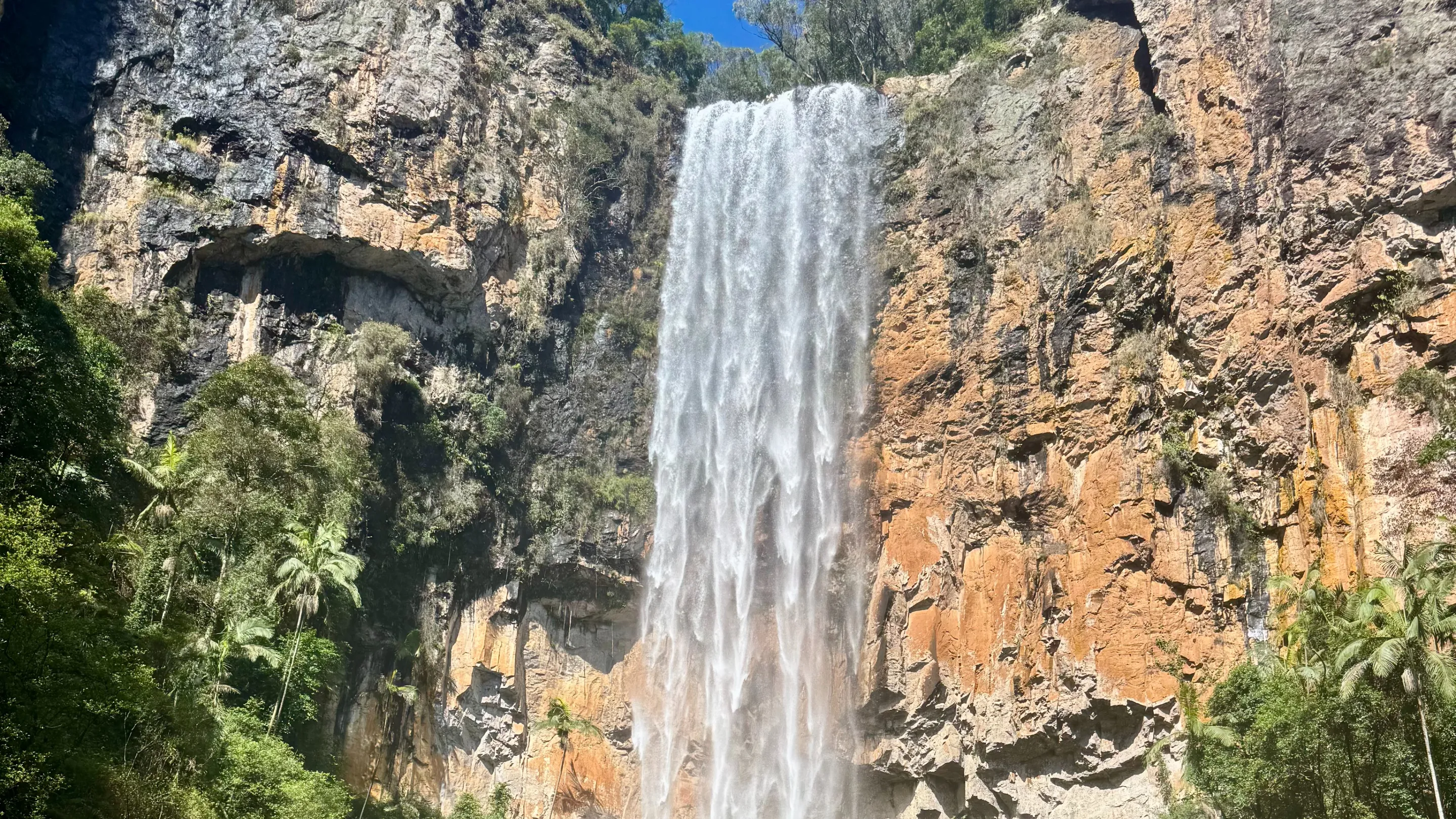 Springbrook National Park Waterfalls Day Tour | Experience Oz-2