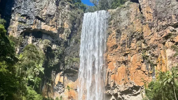 Springbrook National Park Ultimate Waterfall Tour - Full Day