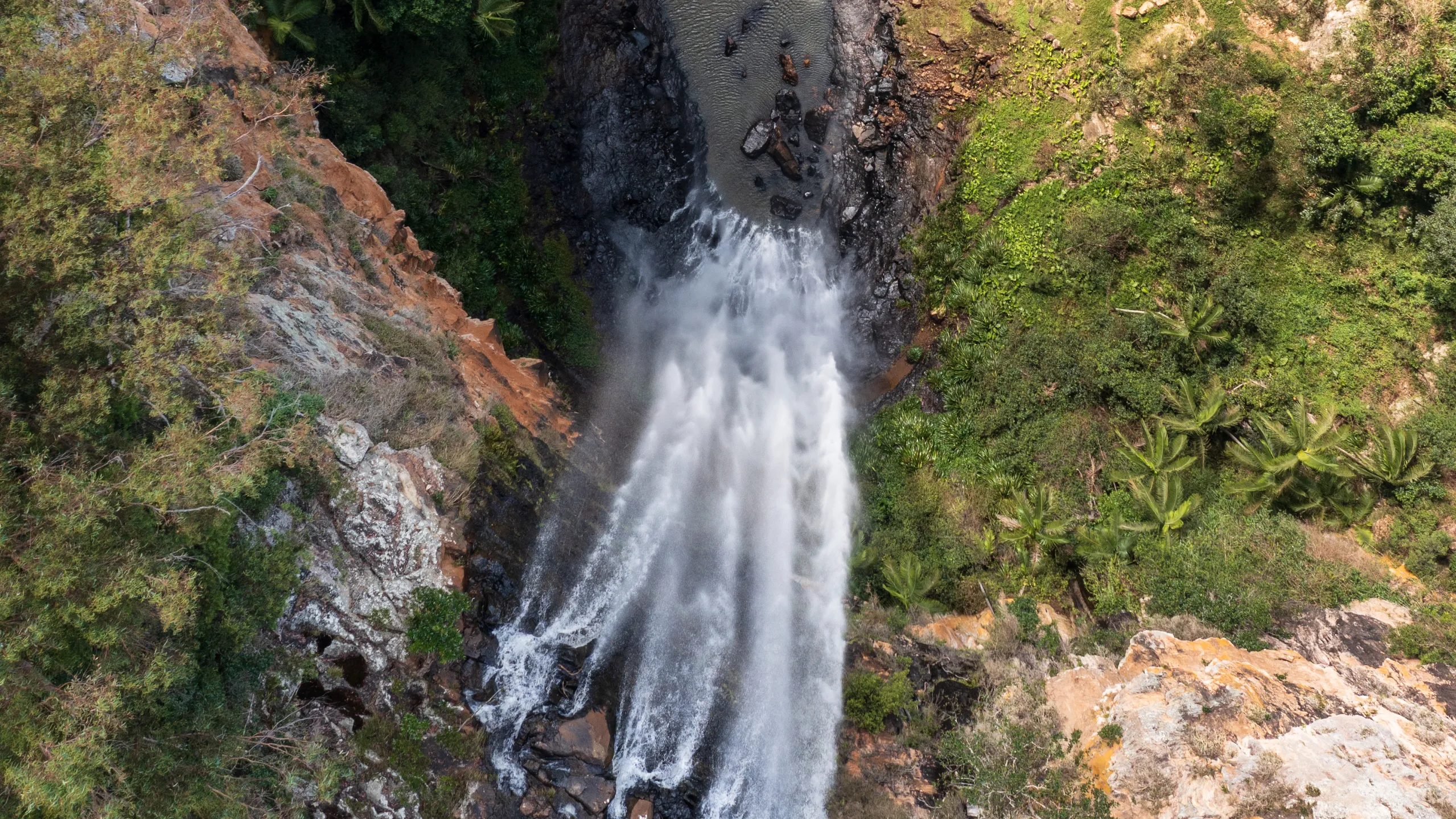 Springbrook National Park Waterfalls Day Tour | Experience Oz-7