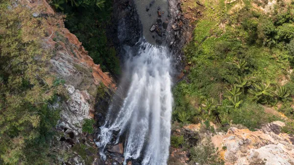 Springbrook National Park Ultimate Waterfall Tour - Full Day