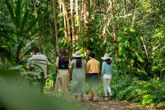 Barron Falls & Kuranda Scenic Rail from Cairns - Full Day
