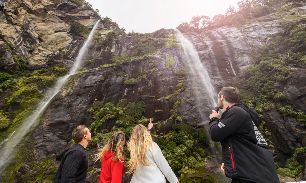 Milford Sound, Wildlife and Waterfall Cruise | Experience Oz + NZ-4