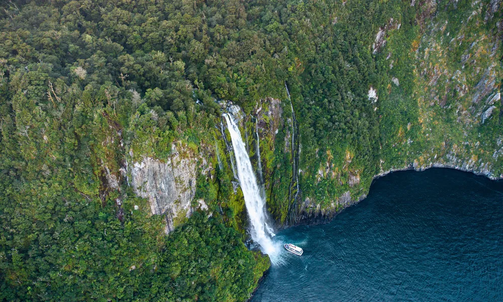 Milford Sound, Wildlife and Waterfall Cruise | Experience Oz + NZ-2