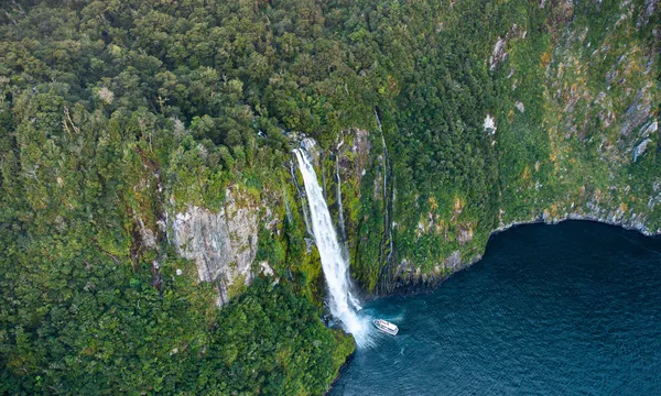 Milford Sound, Wildlife, Waterfalls and Nature Guided Cruise