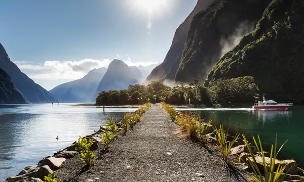Milford Sound, Wildlife, Waterfalls and Nature Guided Cruise