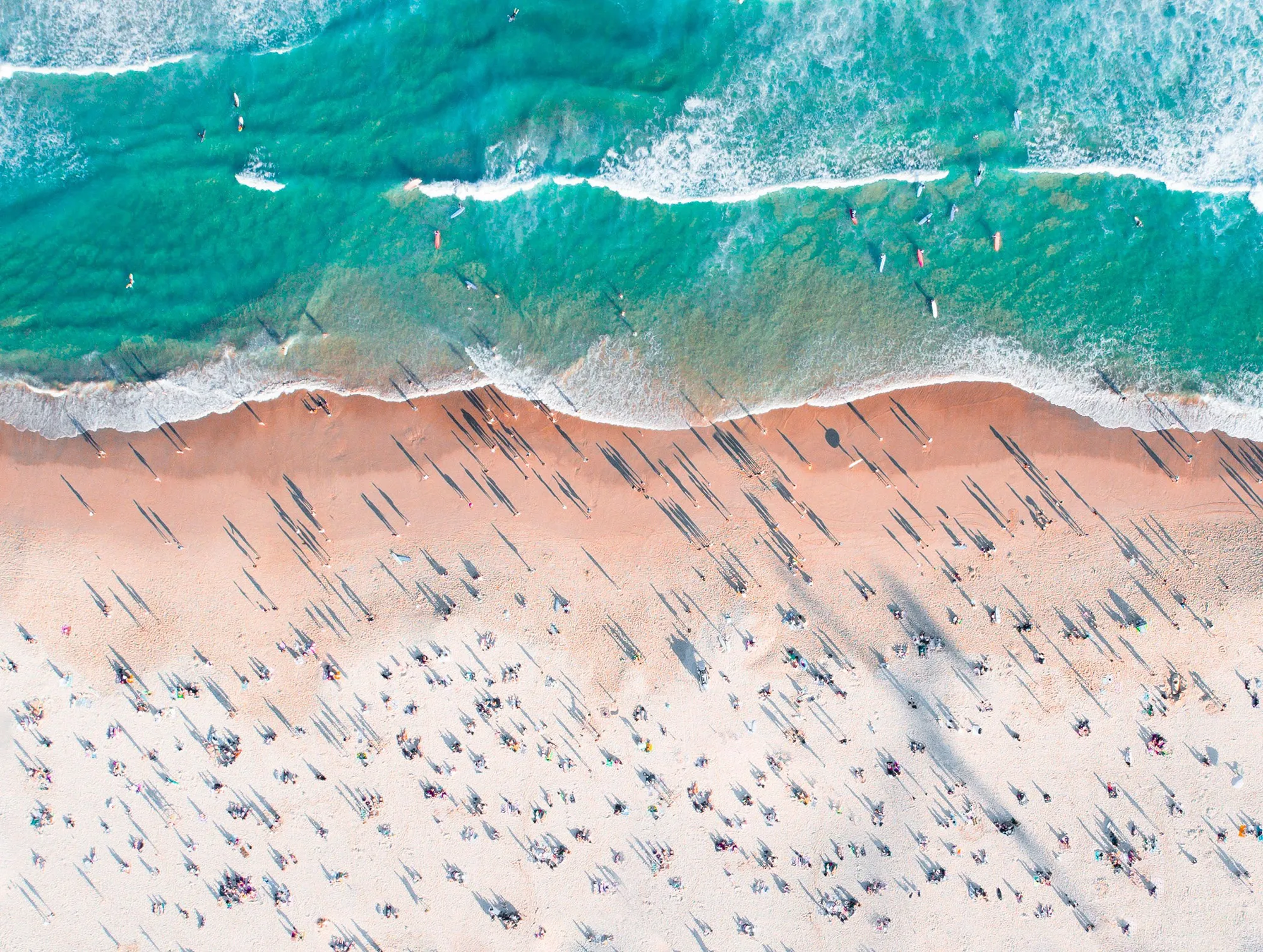 Sydney High Speed Cruise via Bondi - 2 Hours | Experience Oz-5