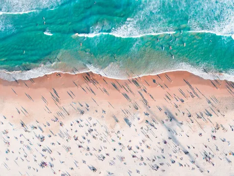 Sydney Harbour High Speed Cruise via Bondi Beach - 2 Hours