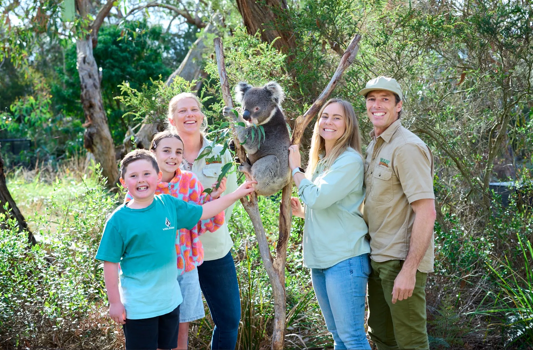 Great Ocean Road and Wildlife Day Tour with Meals | Experience Oz-1