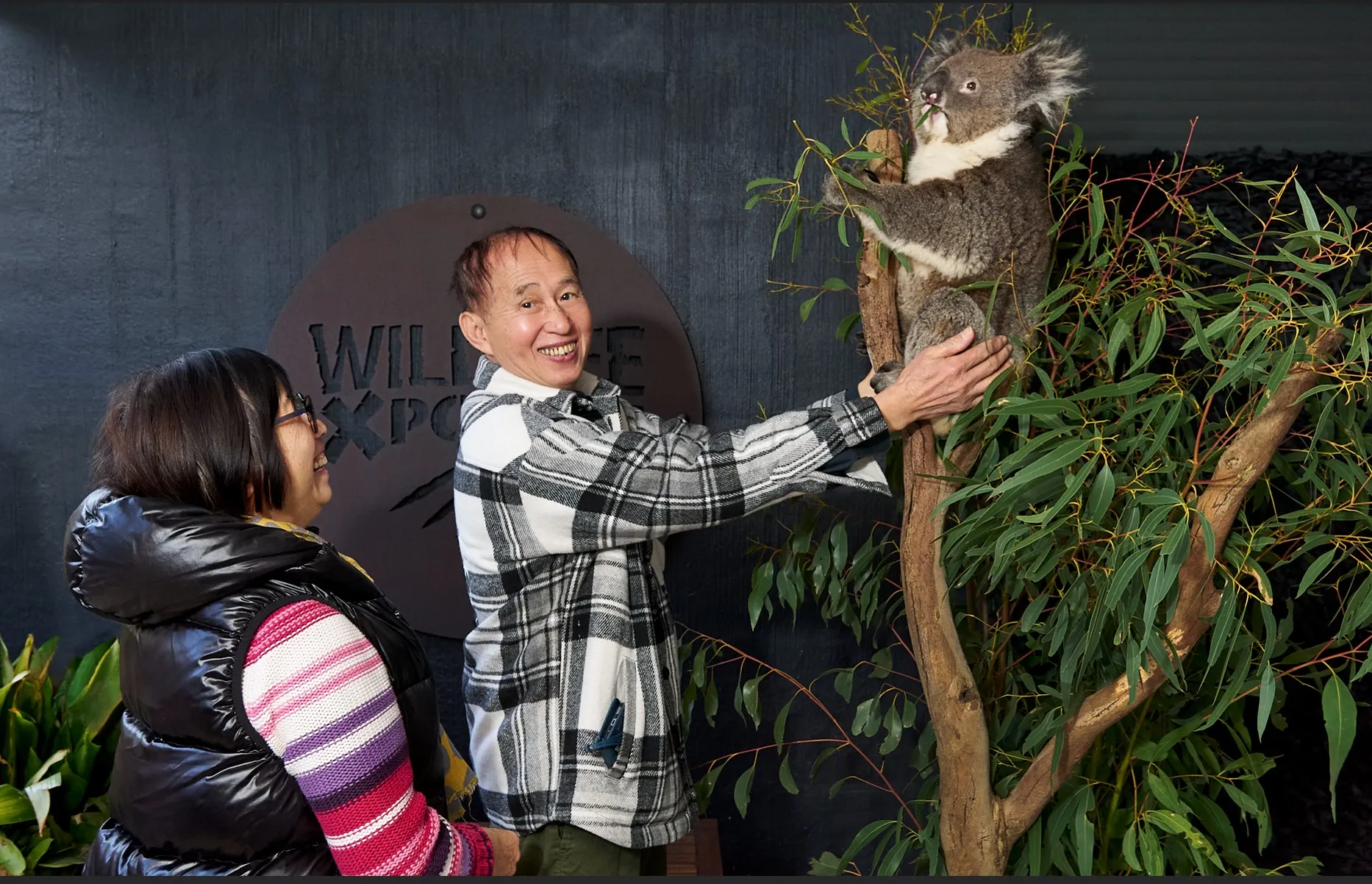 Great Ocean Road and Wildlife Day Tour with Meals | Experience Oz-7