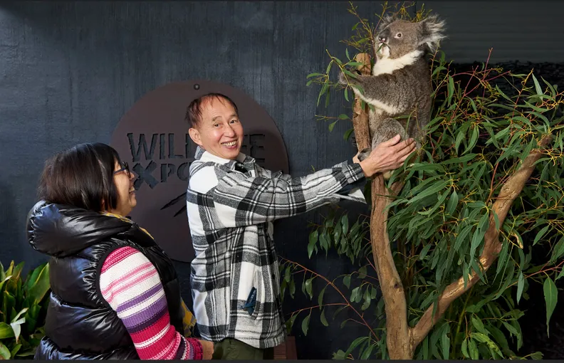 Great Ocean Road and Wildlife Day Tour with Meals | Experience Oz