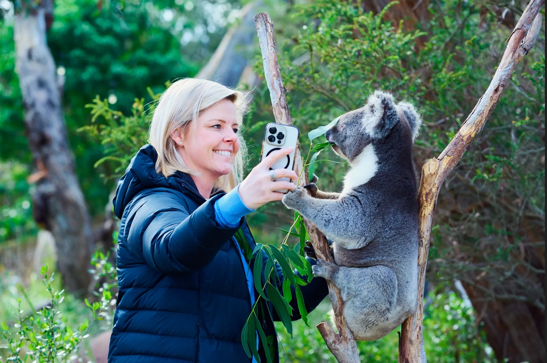 Great Ocean Road and Wildlife Day Tour with Meals | Experience Oz-4