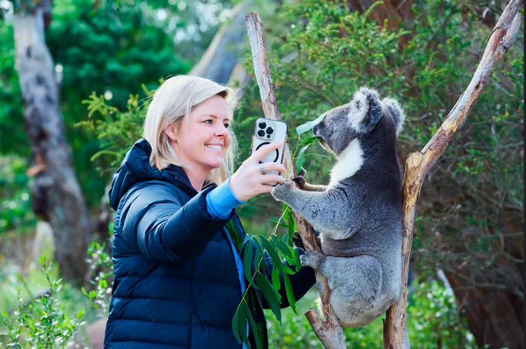 Great Ocean Road and Wildlife Day Tour with Meals | Experience Oz