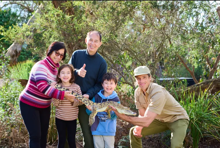Great Ocean Road and Wildlife Day Tour with Meals | Experience Oz