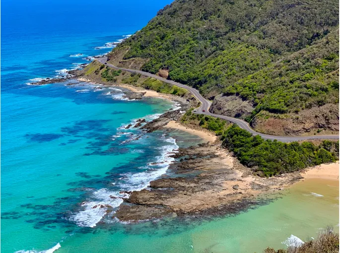 Great Ocean Road and Wildlife Day Tour with Meals | Experience Oz