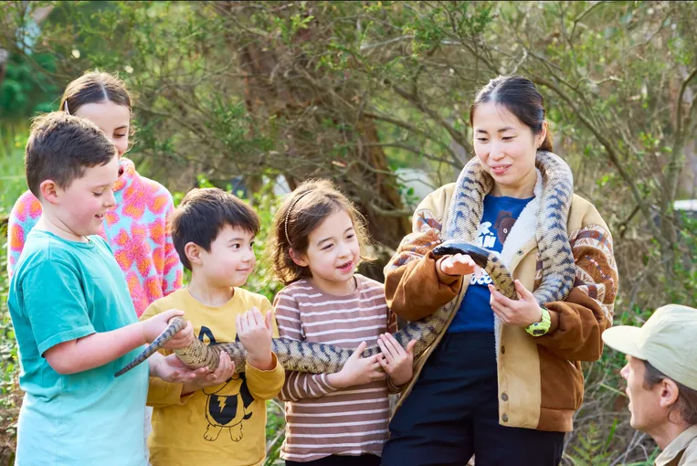 Great Ocean Road and Wildlife Day Tour with Meals | Experience Oz