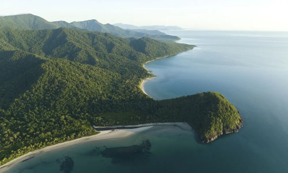 Daintree Deluxe Day Tour with Lunch - For 2 | Experience Oz-4